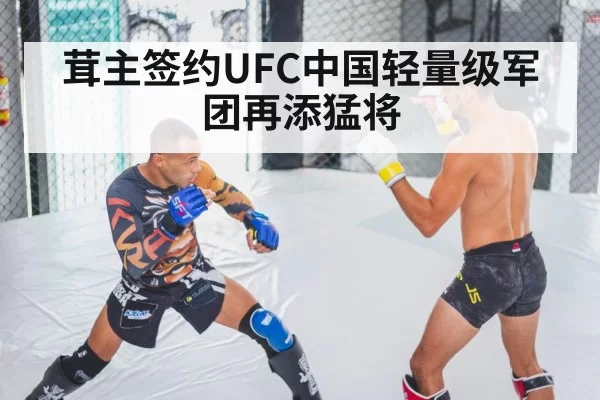 茸主签约UFC中国轻量级军团再添猛将