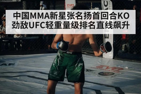UFC octagon fight