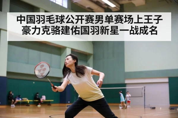中国羽毛球公开赛男单赛场上王子豪力克骆建佑国羽新星一战成名